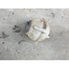 Казанчета за антифриз за Audi A3 8L