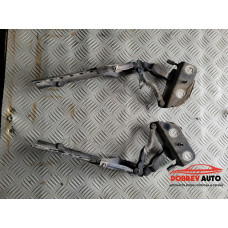 Панти (преден капак) за Audi A8 D3