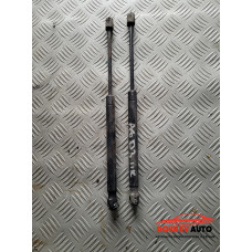 Амортисьори (преден капак) за Audi A8 D3 Амортисьори (преден капак) за Audi A8 D3