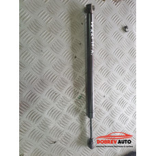 Амортисьори врата (предна лява) за Mercedes S Class W221