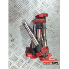 Бобина за Audi A8 D3 4.2 FSI Long Бобина за Audi A8 D3 4.2 FSI Long