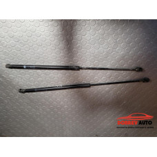 Амортисьори (заден капак) за Mercedes GLS W166