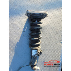 Макферсон (заден десен) за BMW X6 G06