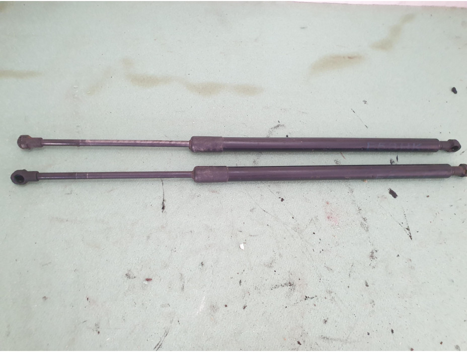 Амортисьори за заден капак за BMW X5 E53