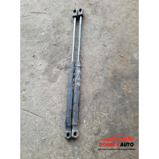 Амортисьори (преден капак) за Audi A8 D3