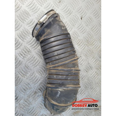 Гофре за Audi A8 D3 6.0 W12