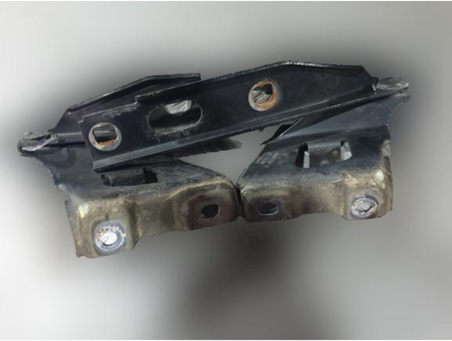 Панти за преден капак за Audi A5 8T 2.7TDI