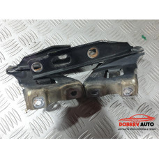 Панти (преден капак) за Audi A5 8T