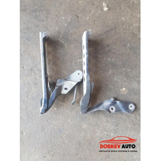 Панти (преден капак) за Audi A8 D4