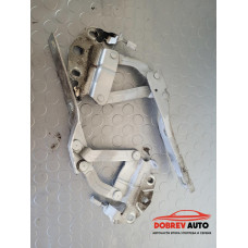 Панти (преден капак) за VW Passat B6 2.0 TDI BKP Sedan